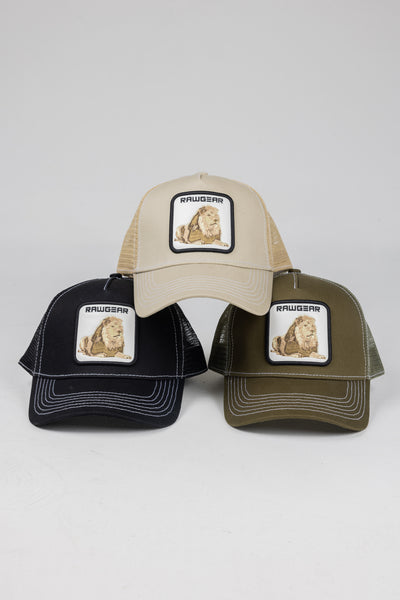 MAROON LION Performance Hat – Shop Lion Gear